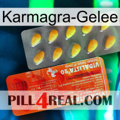 Karmagra Jelly new01